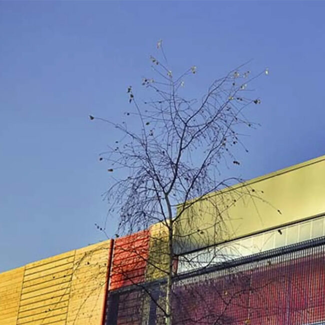 Pôle DELTA - Grand'Mare Rouen Normandie Aménagement Stationnement RNAS